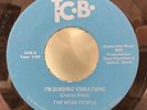 THE WEBB PEOPLE  I'm Sending Vibrations / Bump With Me   TCB funk soul 45