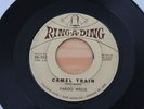FARGO WELLS Camel Train/Troika Trot 45 Strange Exotica Tittyshaker HEAR