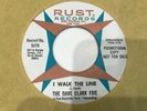 The Dave Clark Five Promo 45 (Rust 5078 DJ) I Walk The Line/First Love