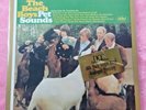 the BEACH BOYS 