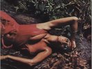 Stranded Roxy Music vinyl LP album record Australian L35031 ISLAND 1974