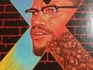 MALCOLM X By Any Means Necessary LP DOUGLAS 14