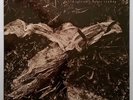David Sylvian & Holger Czukay - Plight And Premonition (1988) [Virgin] VINYL LP