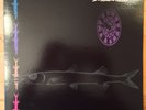 Barracudas ?– Wait For Everything - SAL 203(US) - Vinyl - NM/NM