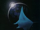 MIKE OLDFIELD - THE SONGS OF DISTANT EARTH  VINYL LP NEW+
