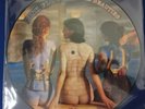 pink floyd rare beauties PICTURE DISC LP