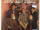 Dead Sea Fruit - S/T LP - Camp UK