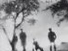 Josef K-Sorry For Laughing  (UK IMPORT)  VINYL NEW