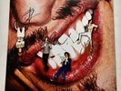 THE DARKNESS - PINEWOOD SMILE HAND SIGNED  VINYL RECORD AUTOGRAPHED