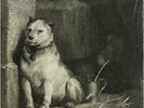 Pampered Menial [VINYL] Pavlov's Dog Vinyl