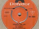 THE CARROLLS**SURRENDER YOUR LOVE**MOD**SOUL**DANCER**LISTEN TO IT