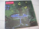 SIMON JOYNER FALLEN MEN 2006 skeleton blues NEW/SEALED ORGL US GF LP BRIGHT EYES
