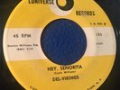 DEL-VIKINGS doowop 45 Luniverse HEY SENORITA/ SOMEWHERE OVER THE RAINBOW