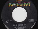 LEATHER BOY I'm A Leather Boy / Shadows RARE M- psych US garage 45 mod LISTEN