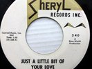 FORTUNE TELLERS vg++ Sheryl 45 School Prom  Just a Little Bit of Your Love PJ112