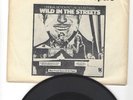 45- MAX FROST & THE TROOPERS- 