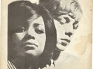 THE CHASERS**HEY LITTLE GIRL**PICTURE SLEEVE**BEAT**LISTEN TO IT