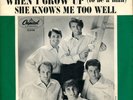 THE BEACH BOYS When I Grow Up on Capitol 45 With Picture Sleeve