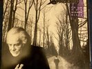 Sanctuary Into The Mirror Black LP NM Warrel Dan