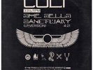 CULT She Sells Sanctuary 12