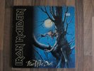 Iron Maiden Vinyl LP Fear Of The Dark Europe 1992 First Press VG/VG+