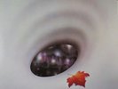 Robin Trower Long Misty Days NEW OVP Chrysalis Records Vinyl LP