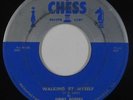 Blues 45 - Jimmy Rogers - Walking By Myself - Chess - mp3