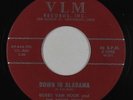 Blues R&B 45 - Bobby Van Hook & The Night Owls - Down In Alabama - VLM - mp3