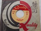CHUCK BERRY Run Rudolph Run / Merry Christmas Baby Ex CANADA 1958 1st Press 45