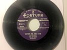 The Delteens Fortune 541 Purple Label (Why Don't You) Love Me Doo Woop 45