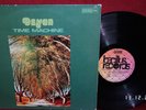 DZYAN - Time Machine * original * Krautrock