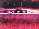 Hot Rats by Frank Zappa (Vinyl, Aug-2016, Zappa Records) NEW   FREE SHIPPING
