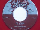 Doo Wop  R&B 45 FLAMINGOS I'm Yours PARROT red wax HEAR