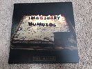 Imaginary Numbers Vinyl The Maine