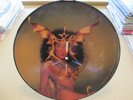 CHER (PICTURE DISC) 
