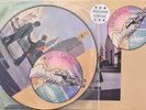 PINK FLOYD WISH YOU WERE HERE LP PICTURE DISC IN LIMITED SLEEVE