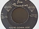 E.J. & THE ECHOES--YOU'RE GONNA HURT / I HAD A HARD TIME-DIAMOND JIM-3--NORTHERN
