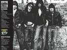 Ramones SELF TITLED (DEBUT) / ROAD TO RUIN Limited Edition NEW SEALED VINYL 2 LP
