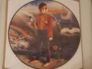 Marillion - Misplaced Childhood - Picture Disc - 1985 - Rock - Vinyl