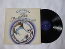 CAMEL   THE SNOW GOOSE   NrM/EX   DECCA 1975 UK PROG ROCK VINYL LP   NICE AUDIO
