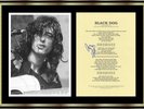 Jimmy Page - Led Zeppelin - Signed Original Autograph - Very Rare