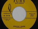Rockabilly R&B 45 - Tarheel Slim - Wildcat Tamer - Fury - mp3