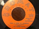 North Carolina Garage Psych 45 The Sound System-Take A Look At Yourself HEAR IT