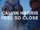 Calvin Harris  - Feel So Close - VERY RARE VINYL PICTURE DISC - 86979593916