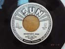 RARE-MEMPHIS GARAGE ROCK-SUN 395-RANDY AND THE RADIANTS-MOUNTAIN'S HIGH-PROMO-45