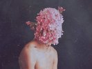 Lake People - Phase Transition