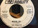 THE TEEMATES 45 I’m Movin Out RARE GARAGE PUNKER PROMO 1964 on AUDIO FIDELITY
