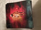 DEJA ENTENDU / BRAND NEW DAY 2LP / ALT COVER / no words on front