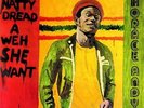 Andy Horace-Natty Dread A Weh She Went  VINYL NUEVO