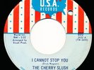 THE CHERRY SLUSH - DON'T WALK AWAY / I CANNOT STOP YOU - U.S.A. 895 45 Record VG
